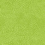 Waved Lime