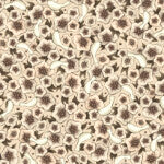 Lost Song PACKED FLOWERS CREAM