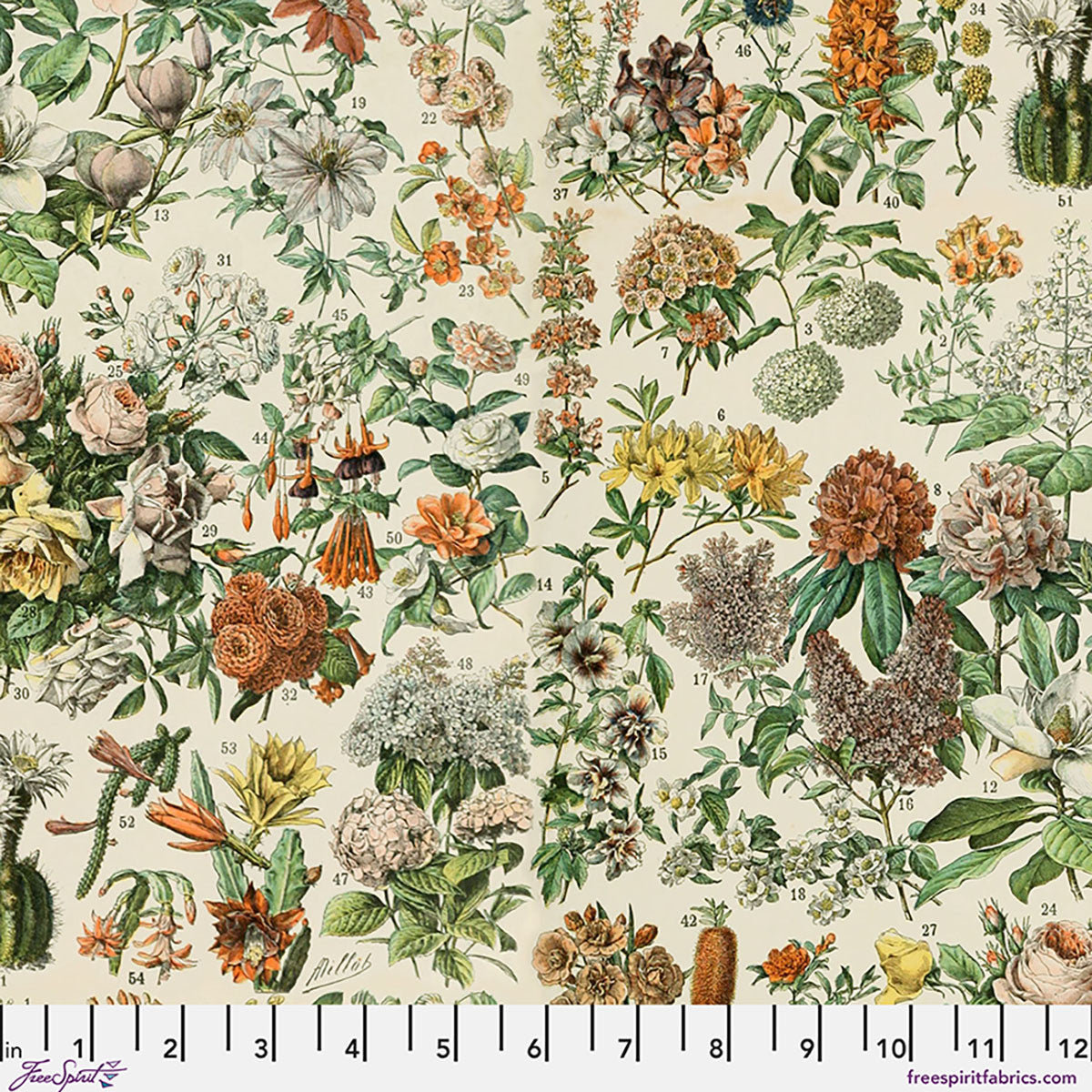 Orange Botanical Canvas - Orange || Palette Canvas Cloth Tim Holtz Eclectic Elements