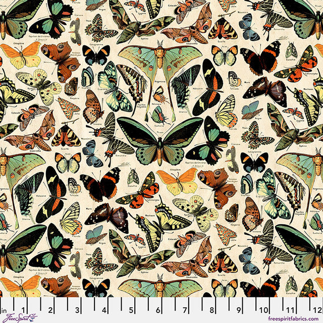 Teal Butterflies Canvas - Teal || Palette Canvas Cloth