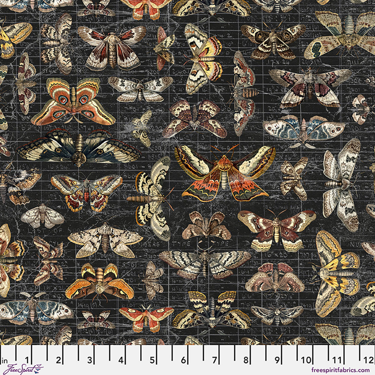 Halloween Moth Study CC - Halloween || Palette Seasonal Canvas Cloth