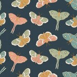 Night Lunar Moth