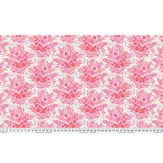 Shadow Sharks - Delphine || Floral Reef
