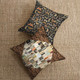 Halloween Moth Study CC - Halloween || Palette Seasonal Canvas Cloth