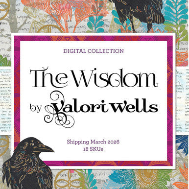 The Wisdom by Valori Wells