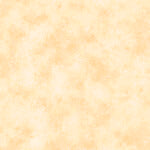 Rapture RAPTURE BLENDER APRICOT