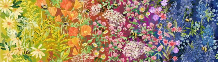 Wild Blossoms Rainbow 48730 11 Moda #1