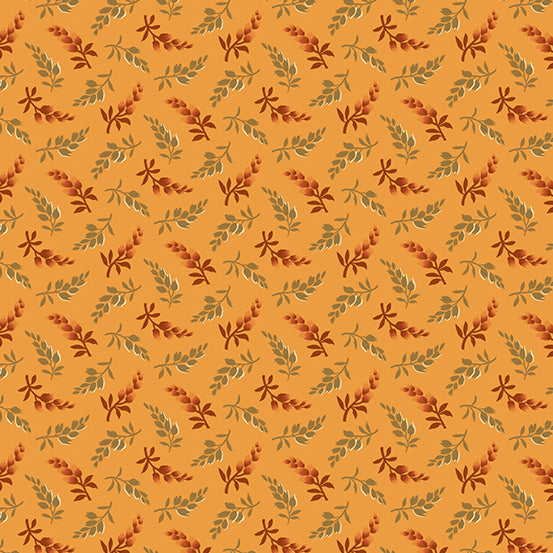 Wildberry Creek A-299-O
