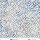9003-13 Blue/Taupe || Kindly, Yours Diane Kappa Shaded Dots