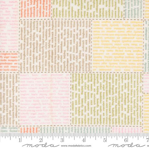 Bug Collector Cloud 55730 11 Moda #1
