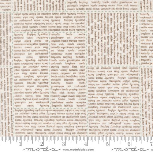 Bug Collector Cloud Dirt 55730 21 Moda #1