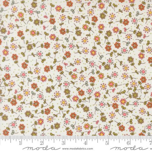 Bug Collector Cloud 55733 11 Moda #1