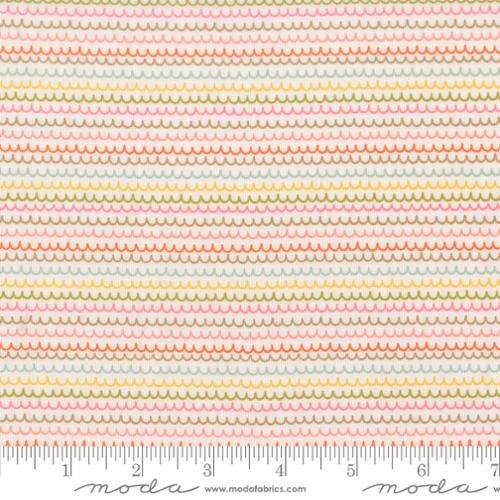 Bug Collector Cloud 55735 11 Moda #1