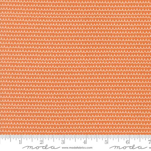 Bug Collector Orange 55735 26 Moda #1