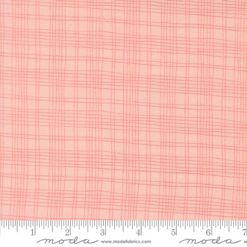 Bug Collector Blush 55737 14 Moda #1