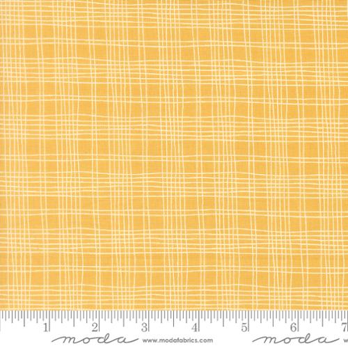 Bug Collector Sunshine 55737 15 Moda #1