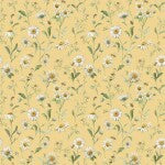 Love Me More Daisies Yellow