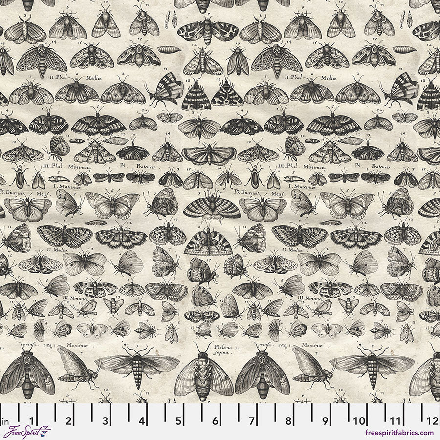 Charcoal Moths - Charcoal || Palette Charcoal by Tim Holtz