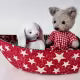 The Dory Boat: Fabric Toy Boat # SOTR-DORY
