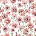 Blush Passionate Poppies